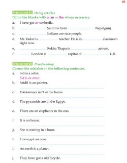 4th Grade Grammar Unit 6 Articles and Demonstratives 6.jpg